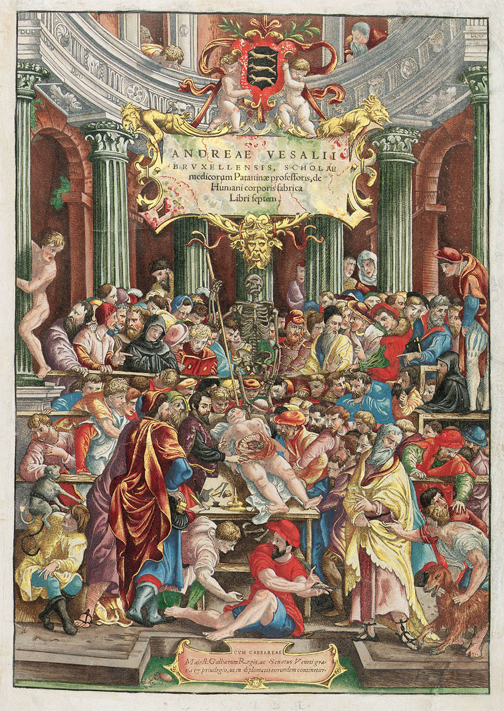 vesalius1
