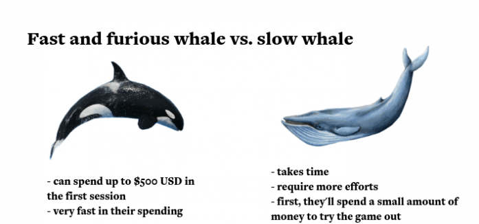 img-1783685587-6a50e1d3661e49.11689596.png