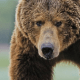 img-1783817640-6a52e5a82d04f3.86619006.png