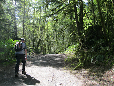 img-1784333048-6a5ac2f8ce2fd1.49678701.jpg