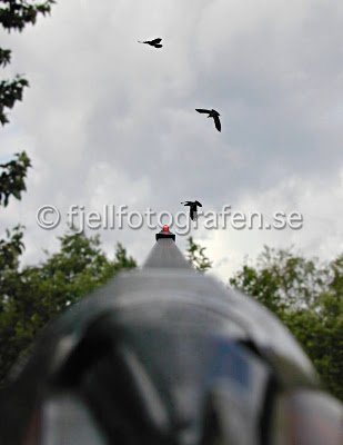 img-1784333063-6a5ac3076600b6.27723809.jpg