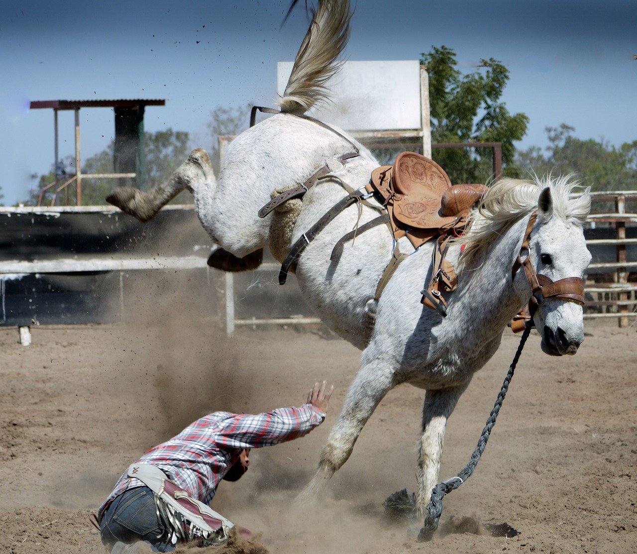 rodeo-1010051_1280