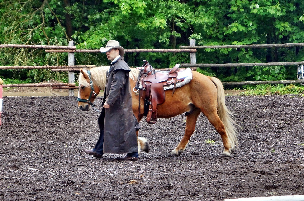 rodeo-113771_1280