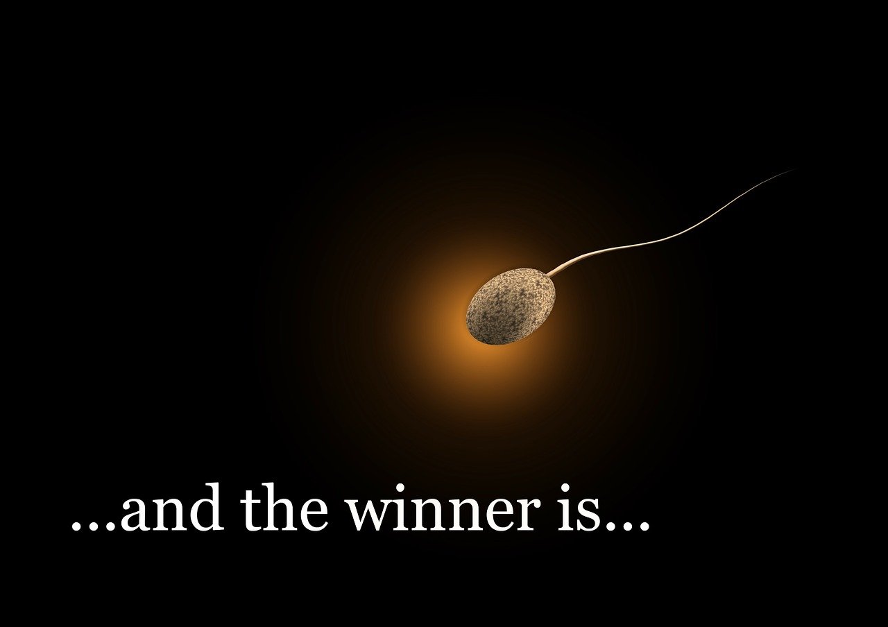 Sperm