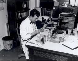 lab2-1750799621-685b15056018e6.26745667.jpg